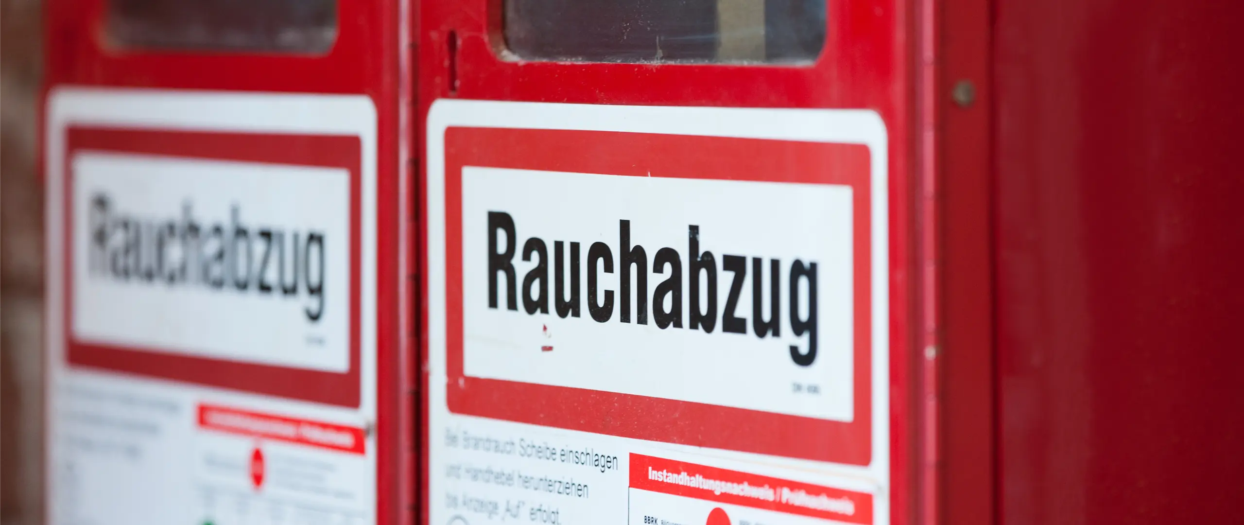Hier handelt es sich um ein dekoratives Bildelement.