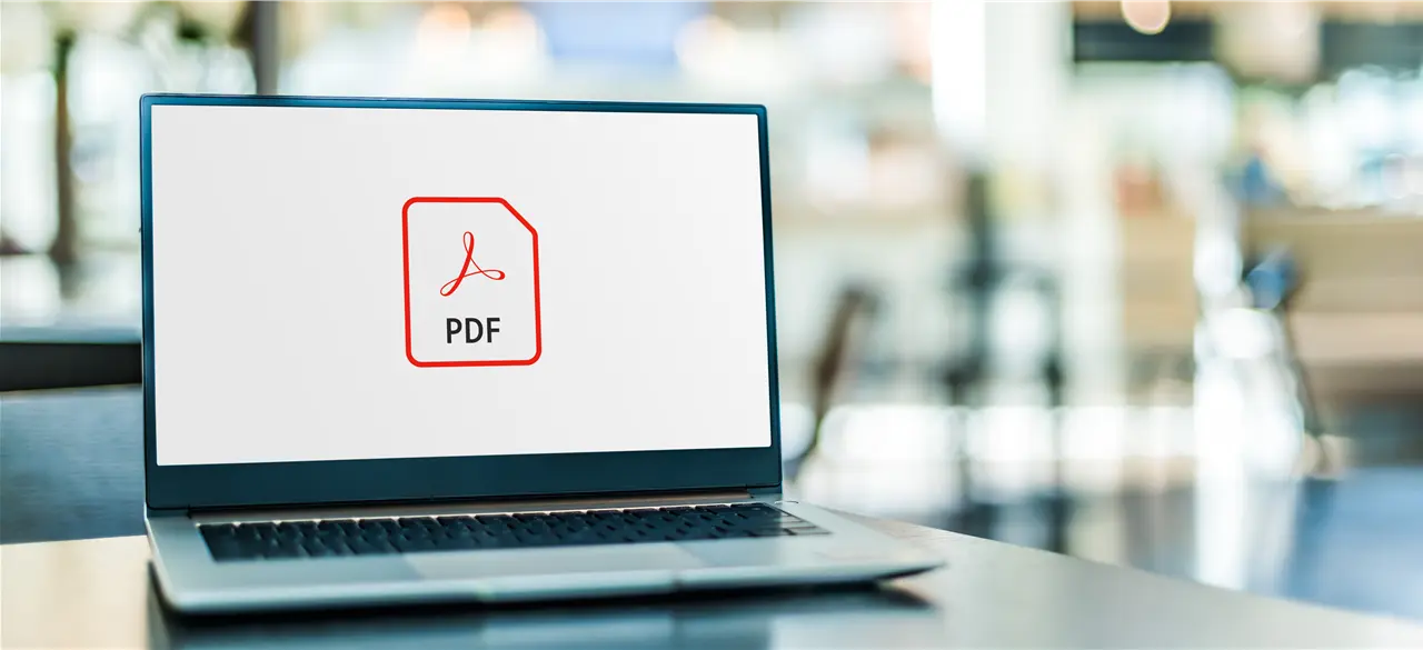 Ein Laptop zeigt auf seinem Bildschirm ein PDF-Symbol auf einer verschwommenen Umgebungshintergrund.