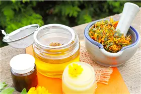 Mikrobiom und Fermentation